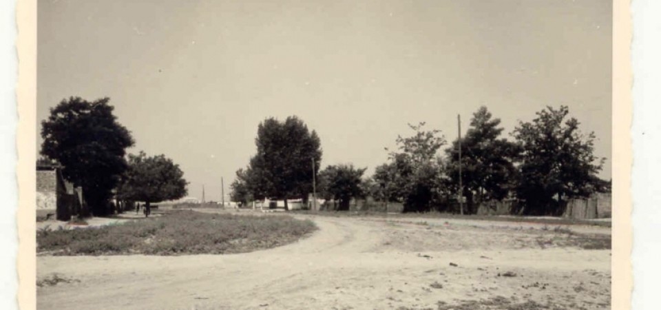 Na staroj fotografiji  iz Novih Banovaca vidi se jedna od ulica u mestu, prva polovina 20. veka.Sa sajta www.neu-banovci.de