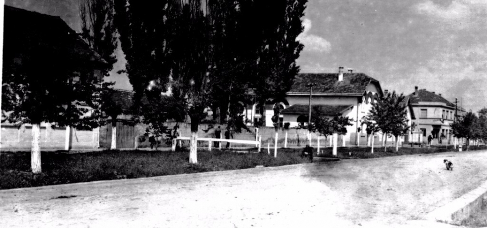 Na staroj fotografiji iz 1950.godine vidi se ulica Kralja Petra Prvo Oslobodioca.