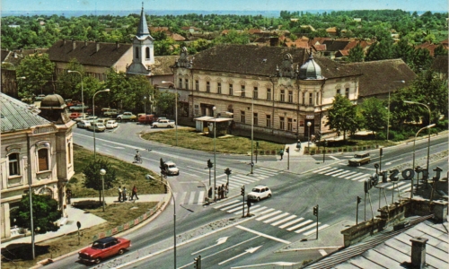 Stara Pazova, 1981.godine